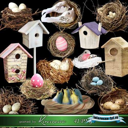 Клипарт на прозрачном фоне - Птицы, гнезда, скворечники