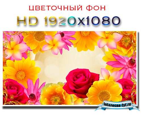 Футаж – красивый цветочный фон