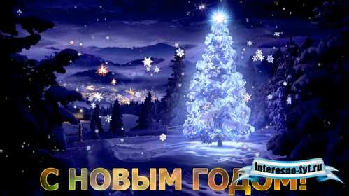 Футаж - Новый год в лесу