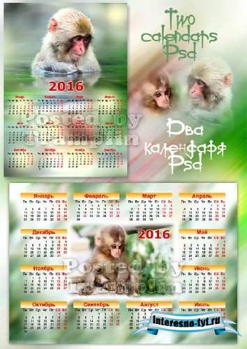Настенные календари 2016 – Год обезьяны